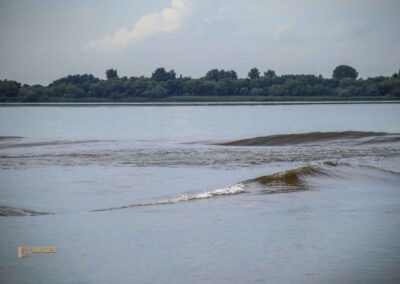 Wellengang auf der Elbe bei Blankenese 0887