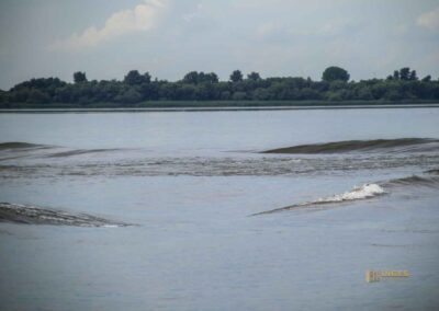 Wellengang auf der Elbe bei Blankenese 0888