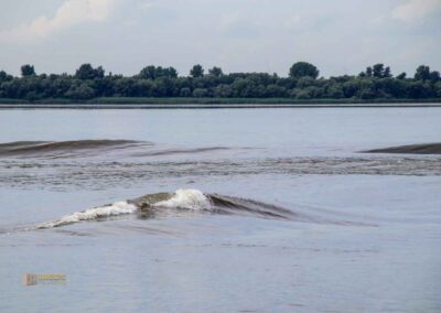 Wellengang auf der Elbe bei Blankenese 0889