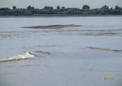 Wellengang auf der Elbe bei Blankenese 0893