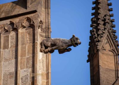 wasserspeier st.bartholomaeus kirche in kolin 0182