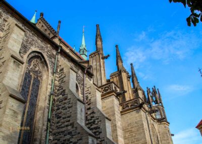 wasserspeier st.bartholomaeus kirche in kolin 7757