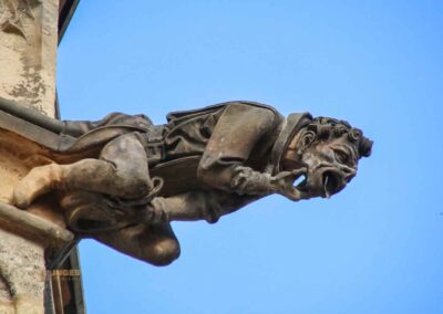 wasserspeier st.bartholomaeus kirche in kolin 7770