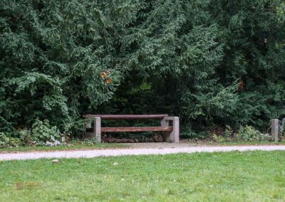 allee bei schloss stern prag 5051