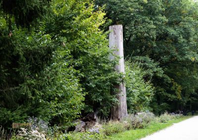 allee bei schloss stern prag 5057