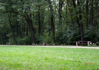 allee bei schloss stern prag 5081