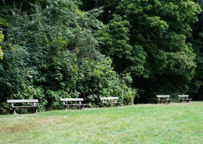 allee bei schloss stern prag 5084