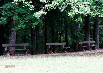 allee bei schloss stern prag 5089