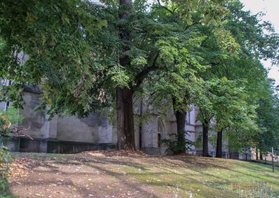 emmaus kloster prager neustadt 4293