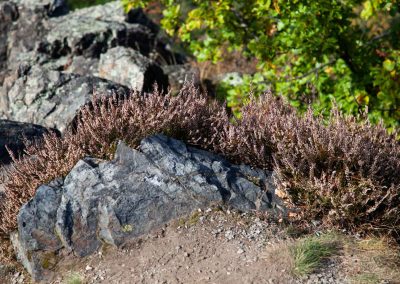 felsen in der wilden sárka prag-liboc 0265