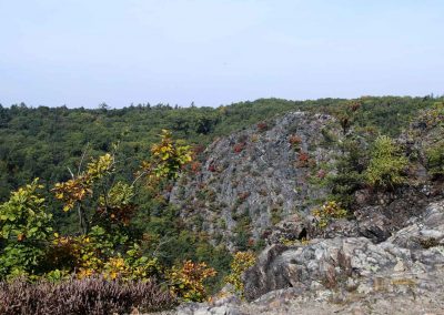 felsen in der wilden sárka prag-liboc 9299