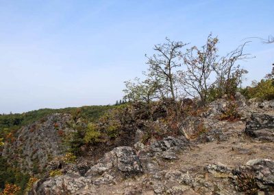 felsen in der wilden sárka prag-liboc 9306