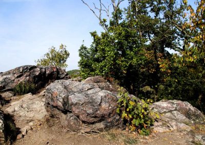 felsen in der wilden sárka prag-liboc 9313