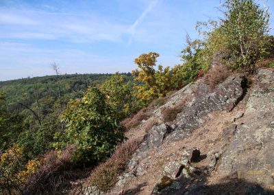 felsen in der wilden sárka prag-liboc 9371