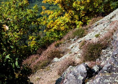 felsen in der wilden sárka prag-liboc 9385