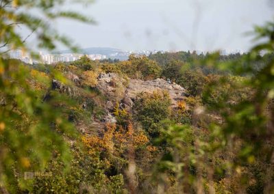 hochflaeche wilde sárka prag 0288