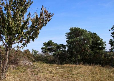 hochflaeche wilde sárka prag 9315