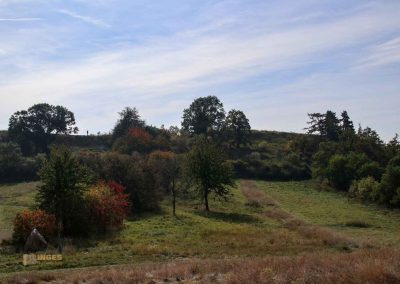 hochflaeche wilde sárka prag 9334