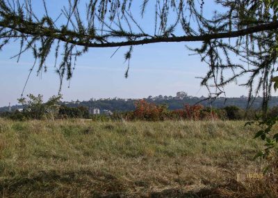 hochflaeche wilde sárka prag 9343