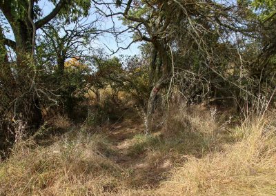 hochflaeche wilde sárka prag 9349