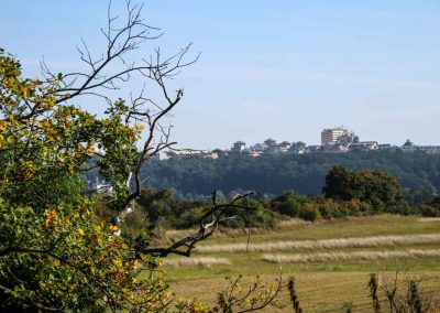 hochflaeche wilde sárka prag 9397