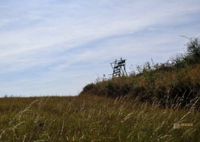 hochflaeche wilde sárka prag 9406