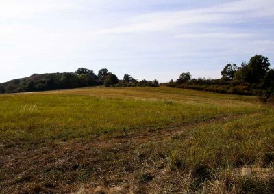 hochflaeche wilde sárka prag 9412