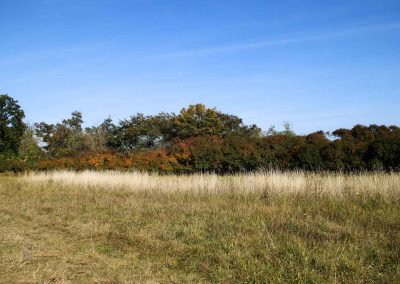 hochflaeche wilde sárka prag 9417