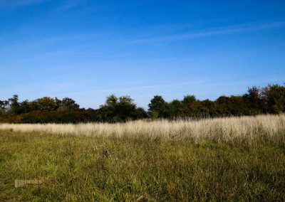 hochflaeche wilde sárka prag 9434