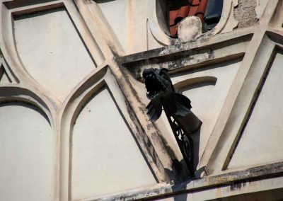 neustaedter rathaus prag 4182