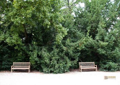 park vor schloss stern in prag 4957