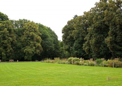 park vor schloss stern in prag 4964