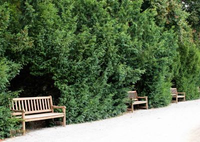 park vor schloss stern in prag 5022