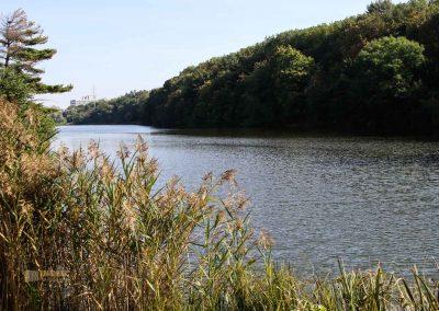 talsperre džbán wilde sárka prag 9248