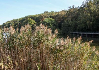 talsperre džbán wilde sárka prag 9505