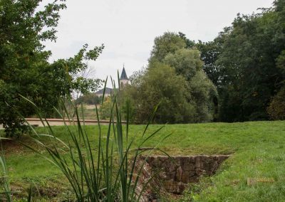 weg durch den wald zu schloss stern bei prag 4907