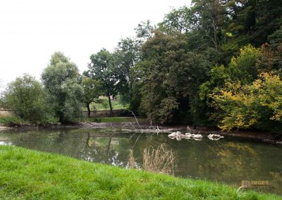weg durch den wald zu schloss stern bei prag 4914