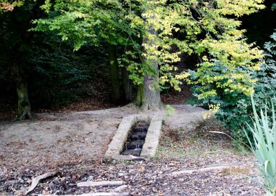 weg durch den wald zu schloss stern bei prag 4916