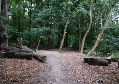 weg durch den wald zu schloss stern bei prag 4924