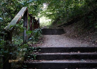 wilde sárka prag 9562