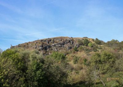 wilde sárka prag-liboc 9243