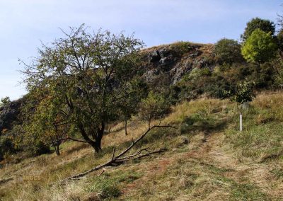 wilde sárka prag-liboc 9272