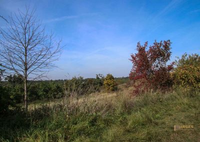 wilde sárka prag-liboc 9284