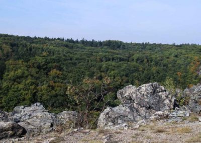 wilde sárka prag-liboc 9292