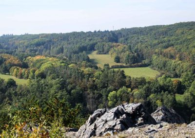 wilde sárka prag-liboc 9295