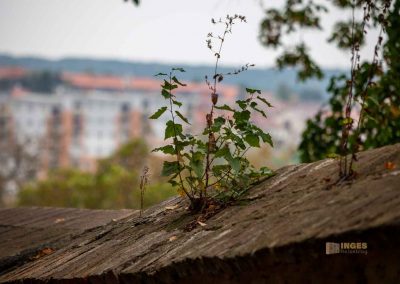 wildgehege schloss stern prag 0065