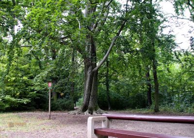 wildgehege schloss stern prag 5105