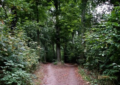 wildgehege schloss stern prag 5111