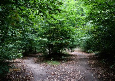 wildgehege schloss stern prag 5115