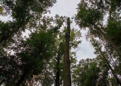 wildgehege schloss stern prag 5126